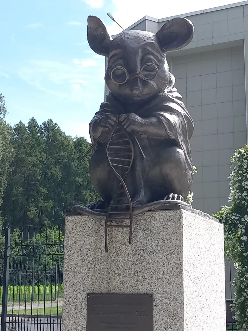 Наталия