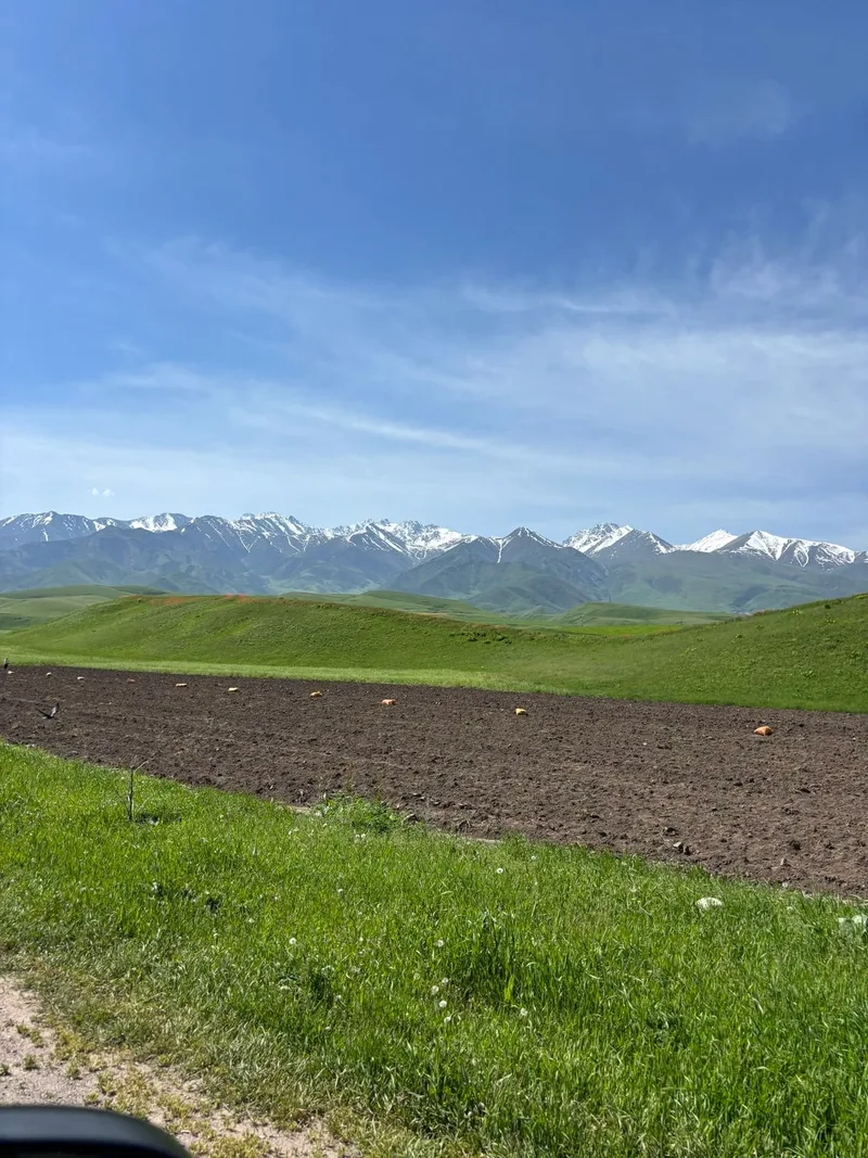 Наталья