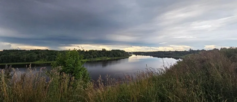 Веневцева
