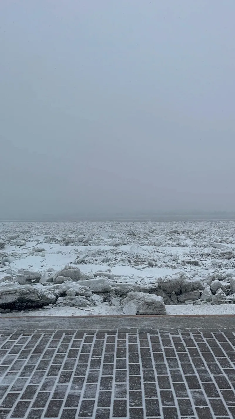 Суровцева