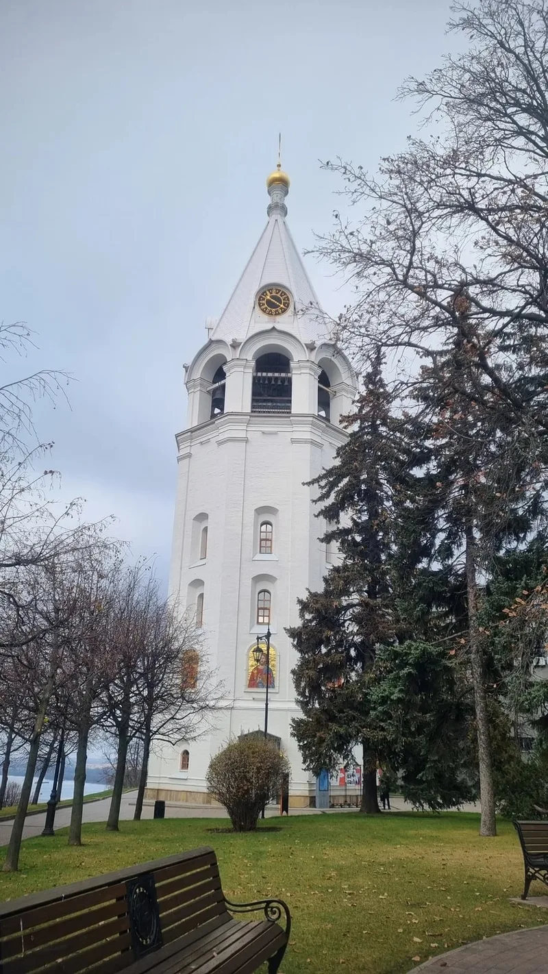 Родина
