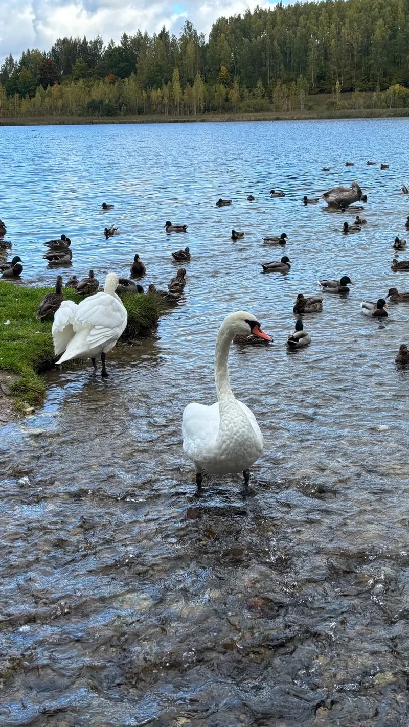 Ольга