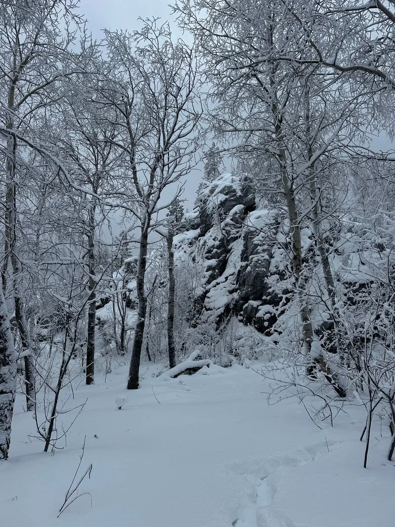 Илларион