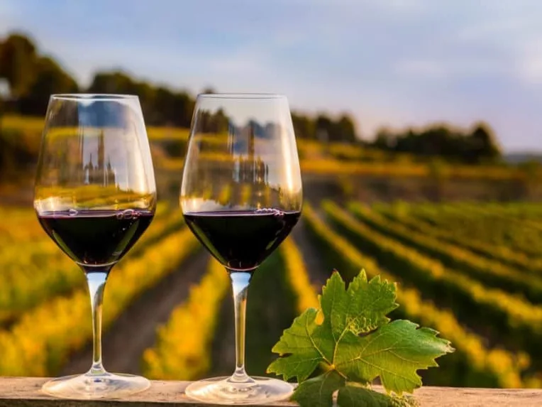 In vino veritas! Истина - в вине!
