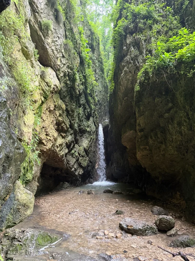 Сергей