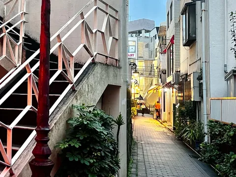 Архитектурные пассажи Токио