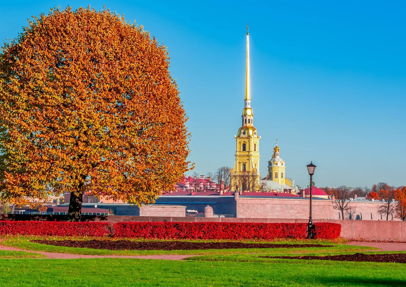 Петроградка: уютная и живая