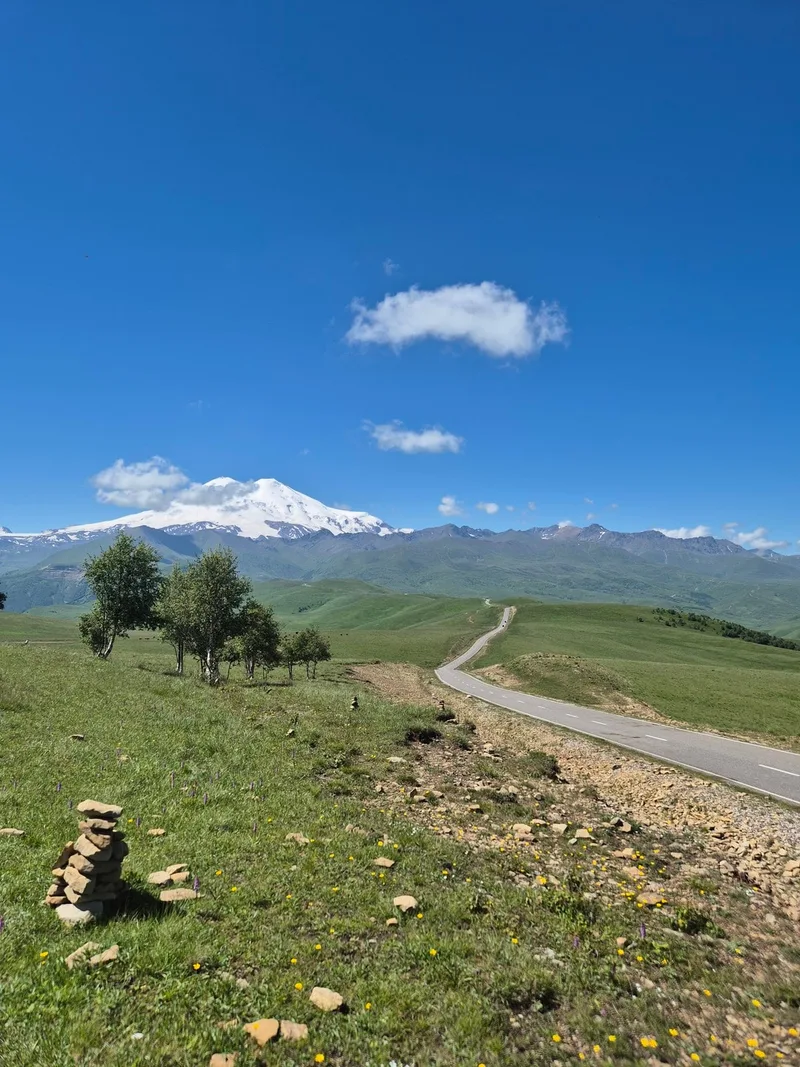 Аришина