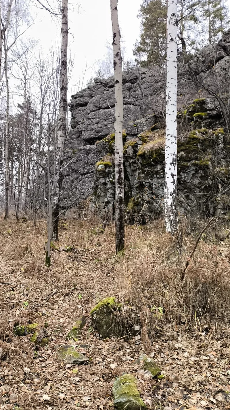 Науменко