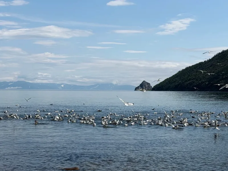 Владимир