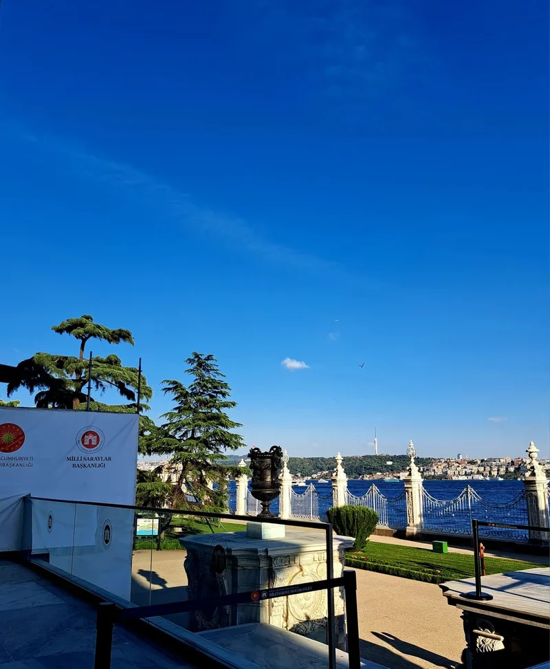 Лариса