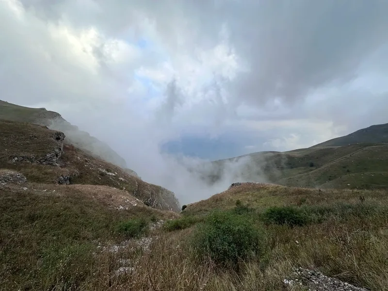 Амет