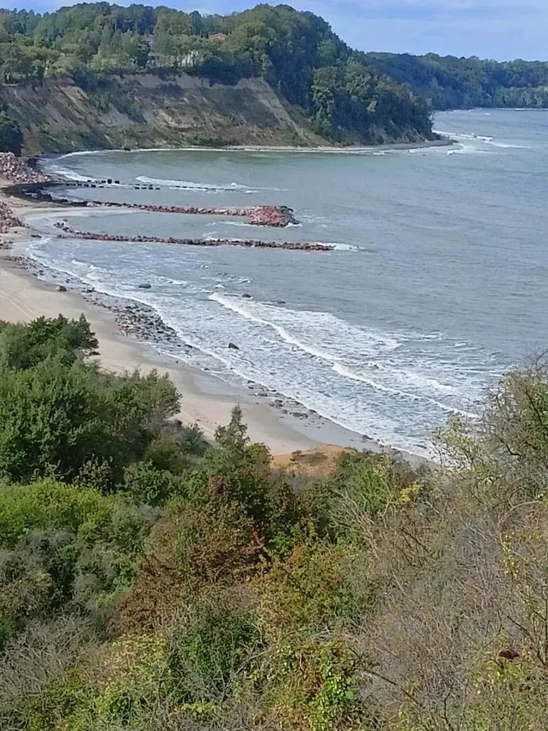 ТЮРНИКОВА