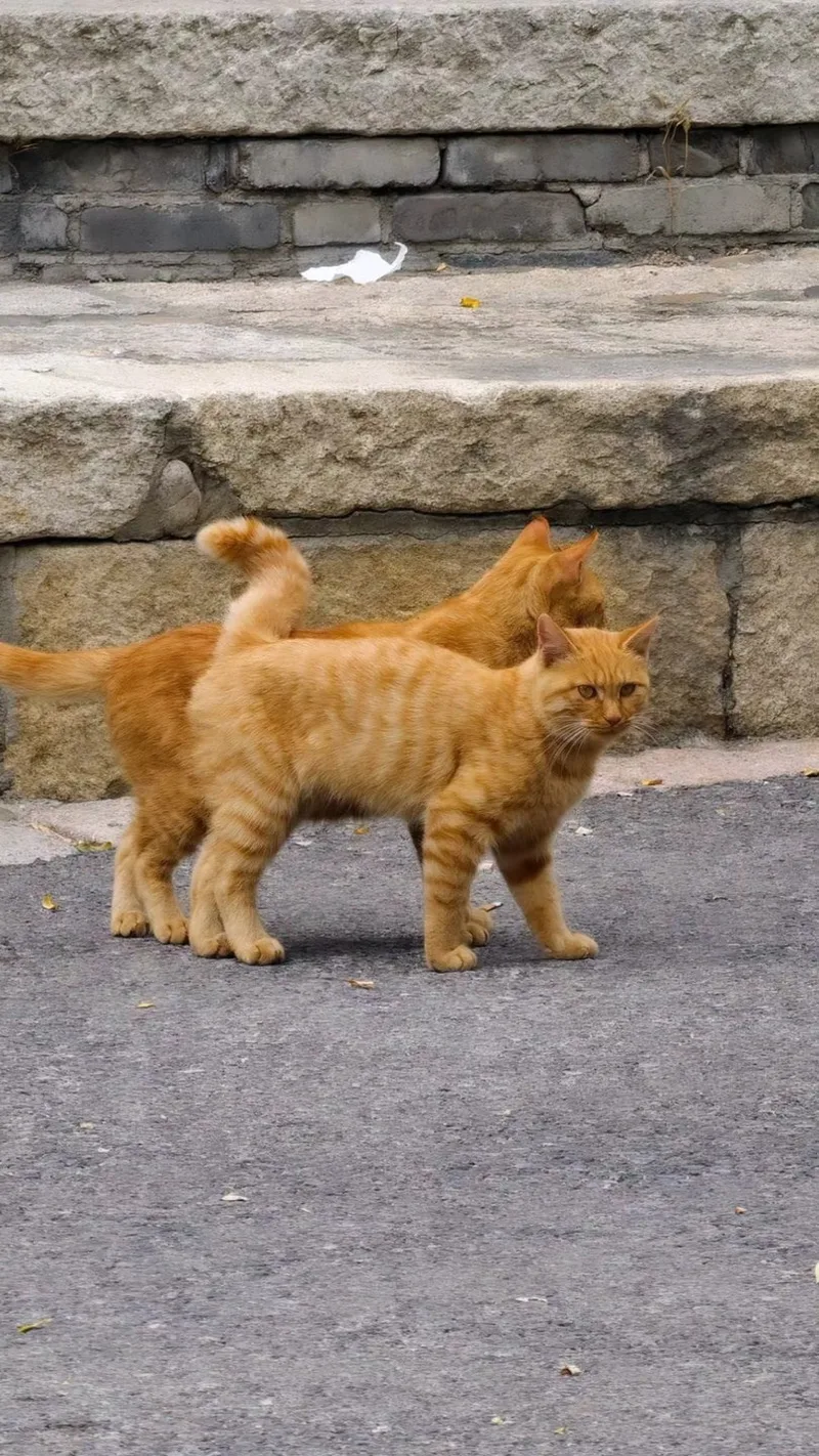 Наталья
