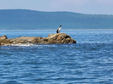 По Японскому морю на моторной лодке!