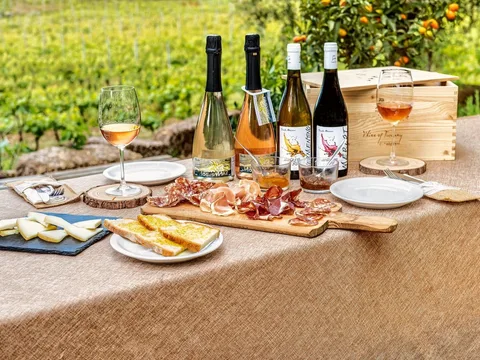 Пиза и вкусы Тосканы: дегустация на винодельне у озера Массачукколи