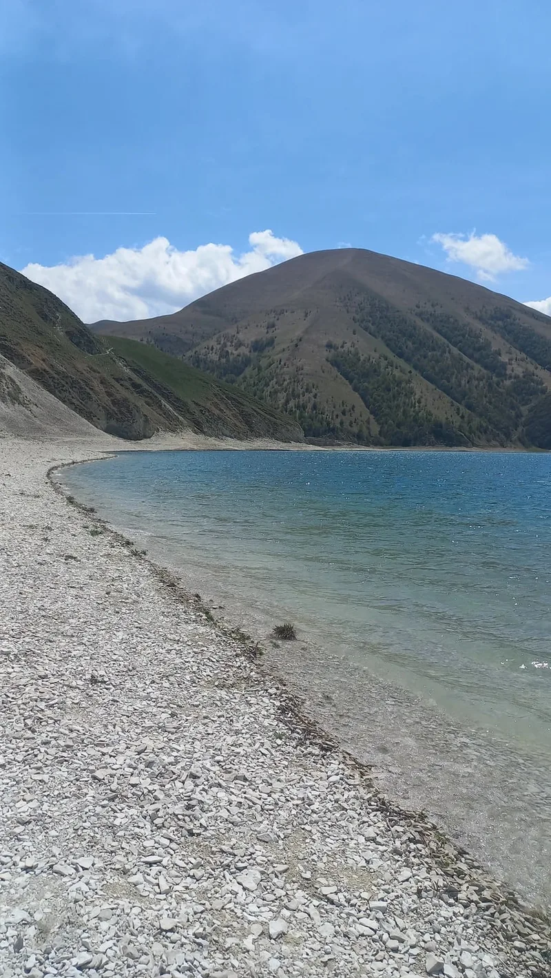 Алена
