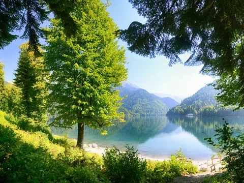 Гагра, Рица и горные пейзажи Рицинского парка
