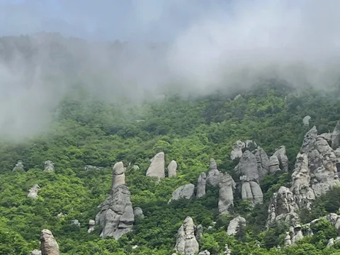 От Алушты до Ялты: микс впечатлений