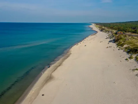 Куршская коса + Зеленоградск (из Калининграда)