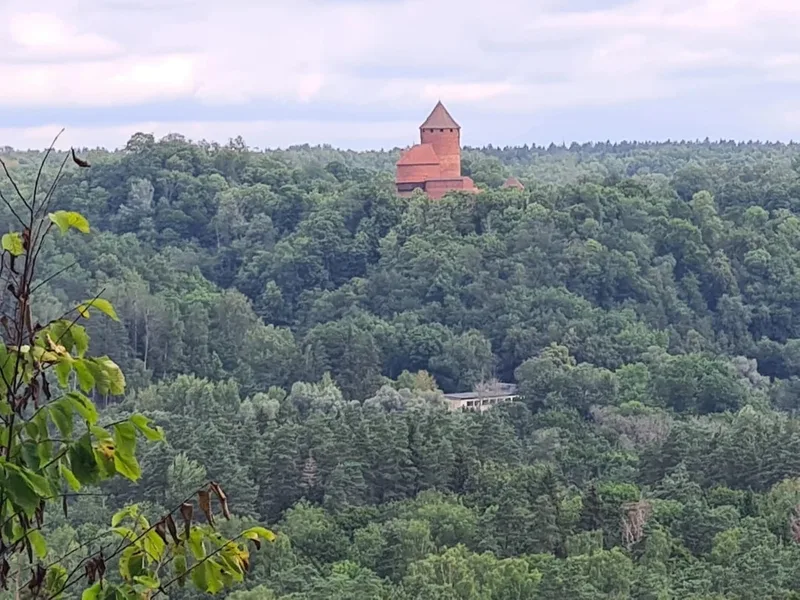 Алекс