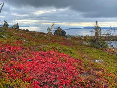 Белое море, Колвицкие водопады и древнее место силы (из Кировска)