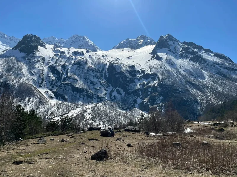 Николай