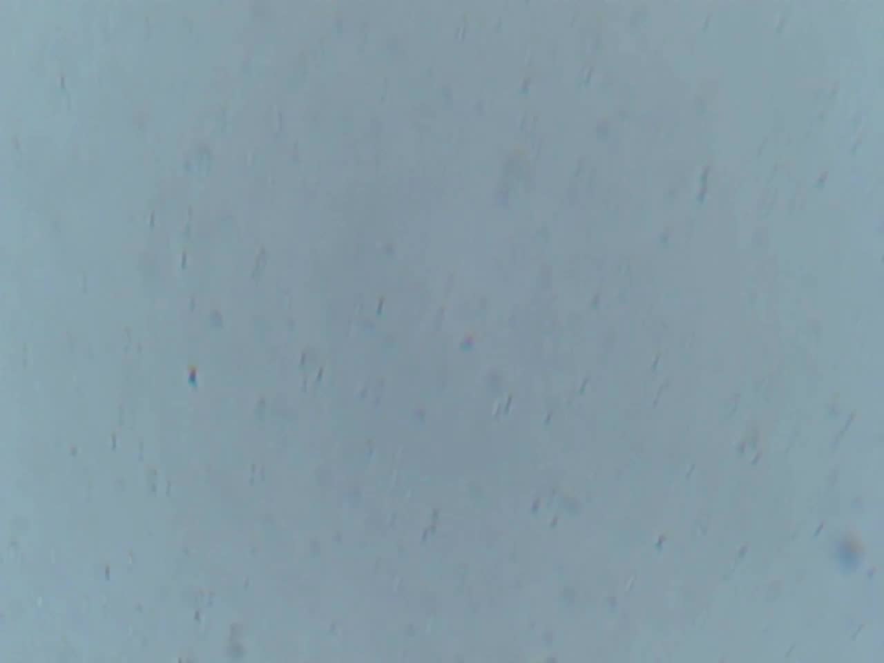 1000042245