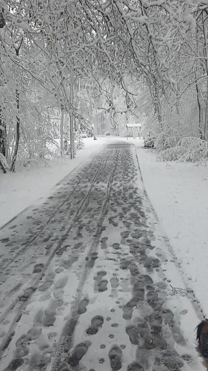 Весенняя сказка