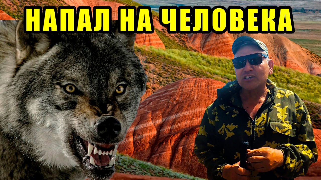 Что скрывают пещеры священной горы Богдо?