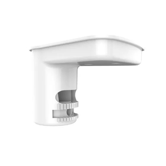DS-PDB-IN-Ceilingbracket Кронштейн потолочный фиксированны