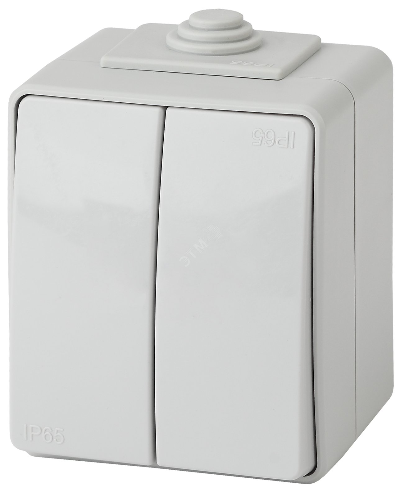 Переключатель двойной IP65, 10АХ-250В, ОУ, Эра Эксперт, серый,11-1606-03