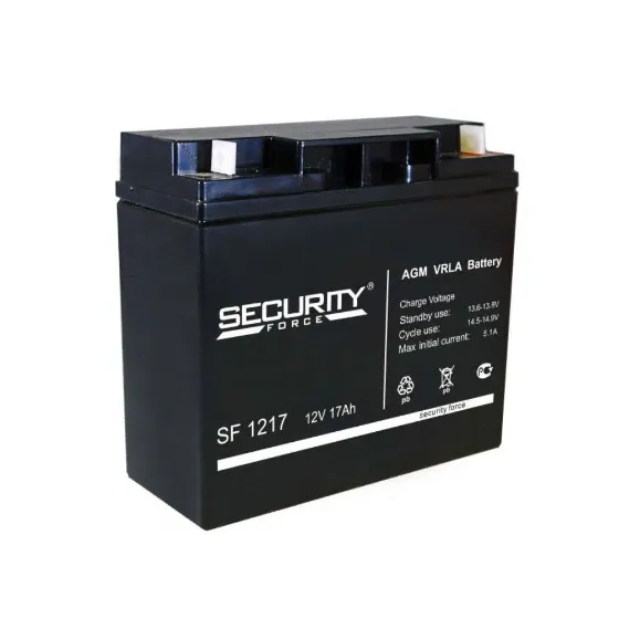 SF 1217 Security Force