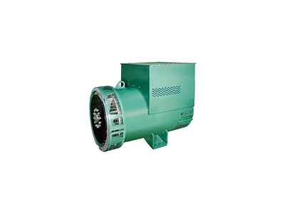 Leroy Somer LSA50.2 L8