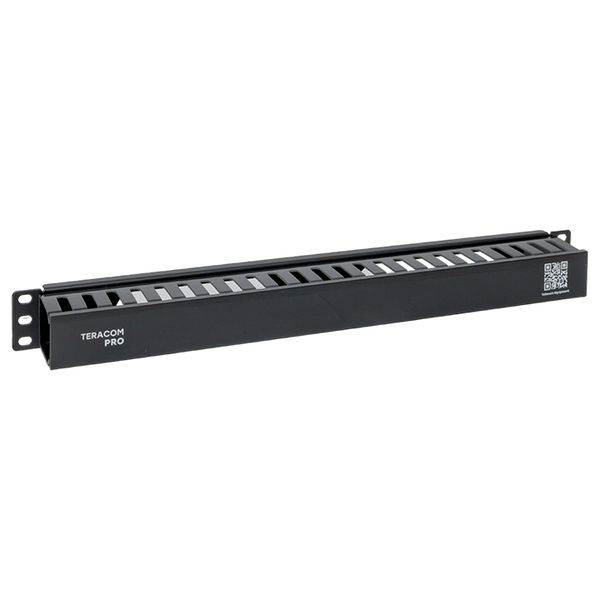 Органайзер кабельный TERACOM PRO с крышкой 19'' 1U пластиковый черный