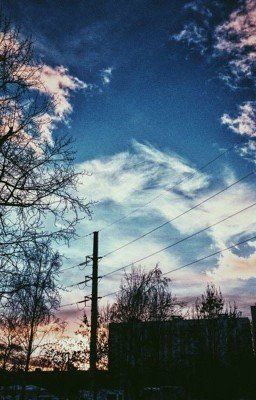 • Пауль Целан •