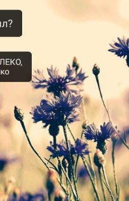 Вне Времени