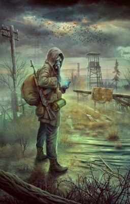 Дневник сталкера Меткий