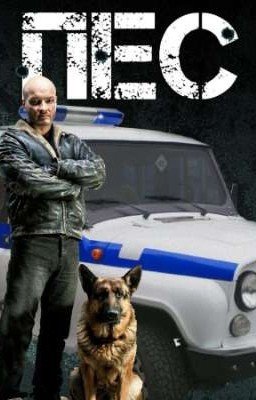 Сериал Пёс