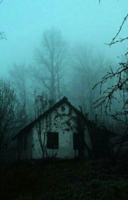 О фильмах
