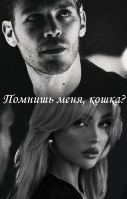 Помнишь меня, кошка?//Никлаус Майклсон