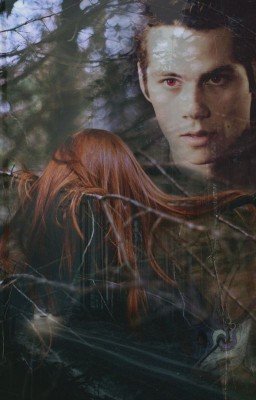 Плоть и Кости【Sterek】