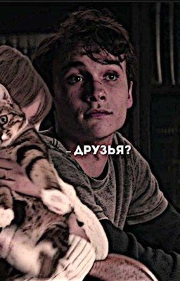 Друзья? 