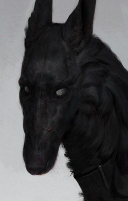Моё солнце
