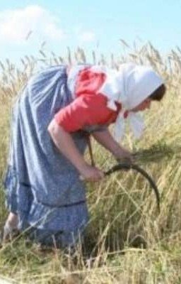 Гиганторочи и пакет