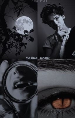 Тайна ночи / Payton Moormeier