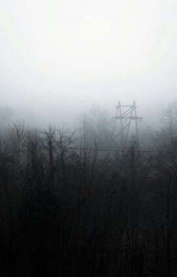 Ратонелло