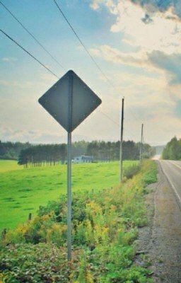 С любовью Майя. Между сном и реальностью