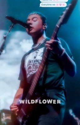 my wildflower / ch