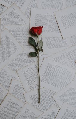 Лучшие книги на Wattpad